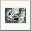 cross stitch pattern Duck