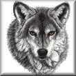cross stitch pattern Grey Wolf
