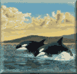 Cross stitch pattern orca whales