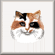 Cross stitch pattern calico cat