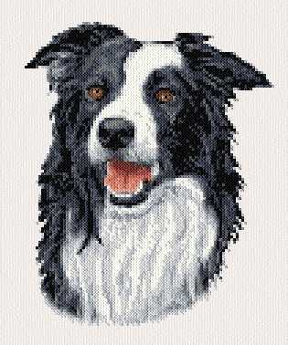 stitch border collie cross patterns pattern dogs crosstitch embroidery counted animals stitches bird printable borders sold