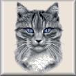 Cross stitch pattern Gray tabby cat