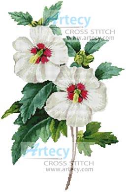 Moulinella: creating a cross-stitch pattern of a picture (photo)