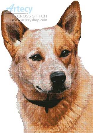 Blue Heeler Pattern | red heeler cross stitch pattern dogs Blue Heeler Pattern | red heeler cross stitch pattern dogs