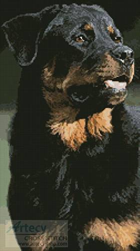 rottweiler message board rottweiler photo cross stitch pattern dogs rottweiler message board rottweiler photo cross stitch pattern dogs