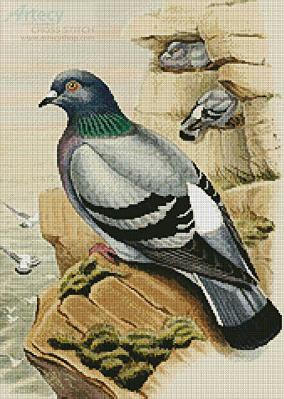 pigeon cross stitch pattern birds log online calculator