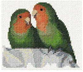 Love Birds