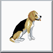 cross stitch pattern Beagle