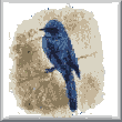 cross stitch pattern Bluebird