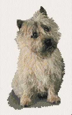 cross stitch pattern Cairn Terrie