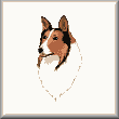 Cross stitch pattern Collie