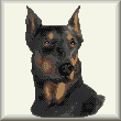 cross stitch pattern Doberman