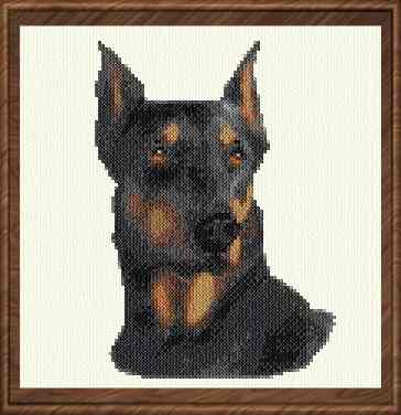cross stitch pattern Doberman
