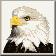 cross stitch pattern Eagle