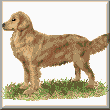 cross stitch pattern Golden Retreiver