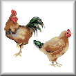 cross stitch pattern Rooster and Hen