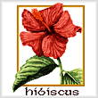 cross stitch pattern Hibiscus