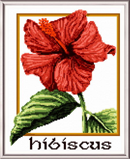 cross stitch pattern Hibiscus