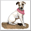 cross stitch pattern Jack Russell Terrier