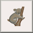 cross stitch pattern Koala