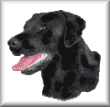 cross stitch pattern Sampson (lab)