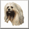 cross stitch pattern Lhasa Apso