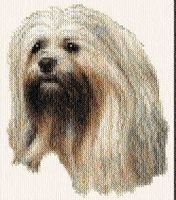 cross stitch pattern Lhasa Apso