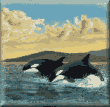 cross stitch pattern Orcas