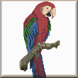 cross stitch pattern Green-winged Macaw