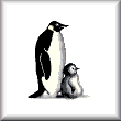 cross stitch pattern Penguins