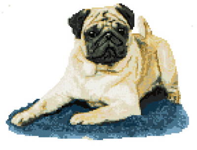 cross stitch pattern Puggley