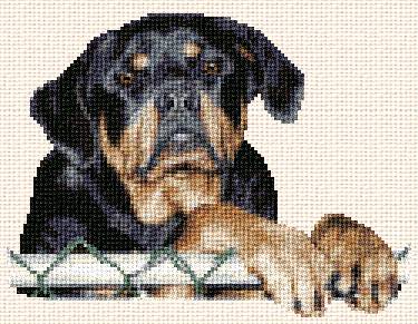 cross stitch pattern Kona (rotweiller);