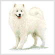 cross stitch pattern Samoyed