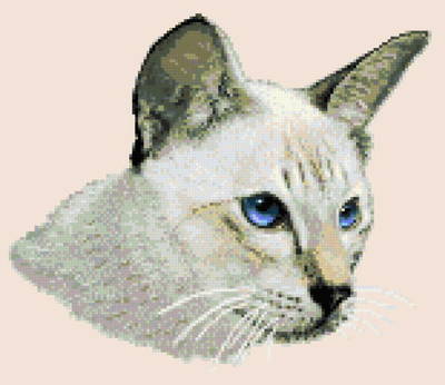 cross stitch pattern Smokey