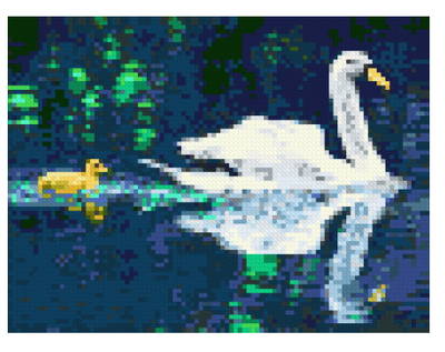 cross stitch pattern Swan and cygnet