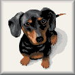 cross stitch pattern Dudley