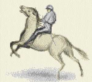cross stitch pattern Jockey