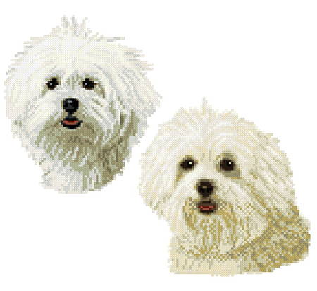 cross stitch pattern Maltese twins