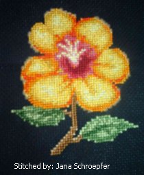cross stitch pattern Wildflower