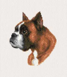 Boxer Dog On Aida cross stitch kit from the range of Animals cross