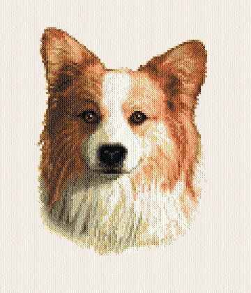 cross stitch pattern Corgie