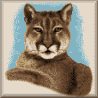 cross stitch pattern Cougar