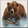 cross stitch pattern Grizzly Splash