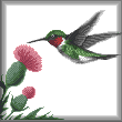 cross stitch pattern Hummingbird