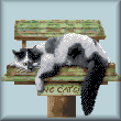 cross stitch pattern No Cats