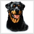 cross stitch pattern Kayla (rotweiller)