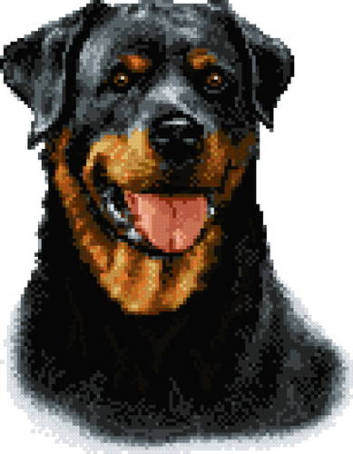 cross stitch pattern Kayla (rotweiller)