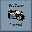 cross stitch pattern Picture Perfect