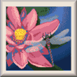 Cross stitch pattern Dragonfly and waterlily