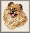 cross stitch pattern Sassy - Pomeranian